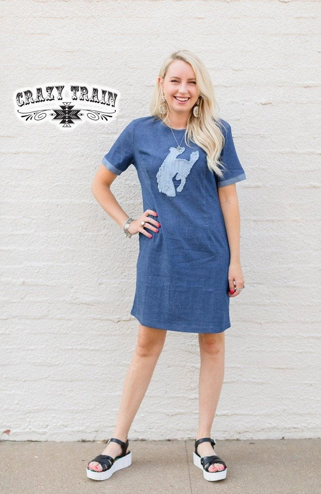 She's A Wild One Dress
